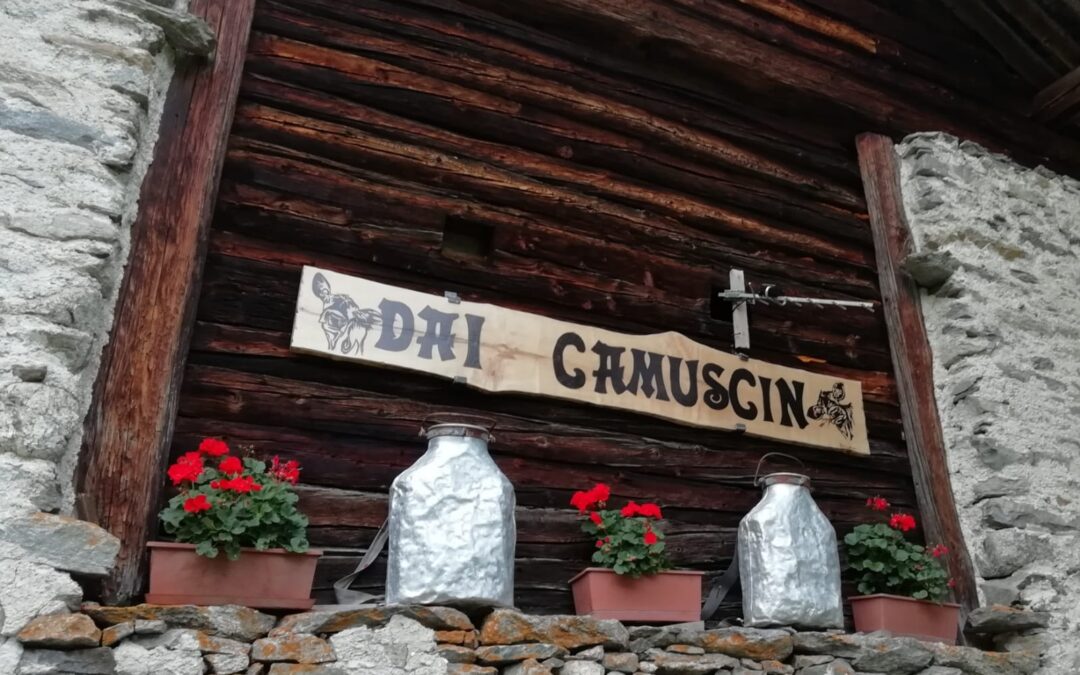 Agriturismo Dai Camuscin